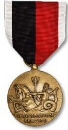Navy Occupation Medal - Large