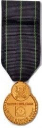 Navy Rifle Expert Medal - Mini