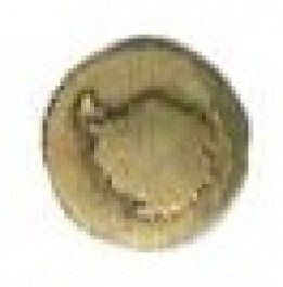 Antarctica Disk - Bronze