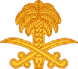 Palm, Kuwait Liberation Ribbon Device