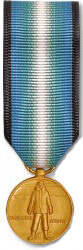 Antarctica Service Medal - Mini