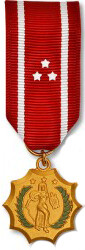 Philippine Defense Medal - Mini