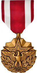 Meritorious Service Medal - Large