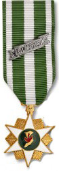 Vietnam Campaign Medal - Mini