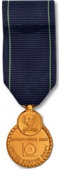Navy Pistol Expert Medal - Mini