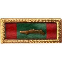 Vietnam Civil Action Unit Citation Thin Ribbon