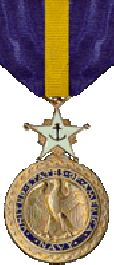 Distinguished Service Medal - Large