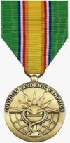 PHS COVID 19 Campaign Medal - Large
