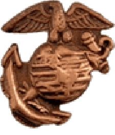 Fleet Marine Force Device Fleet Marine Force Device