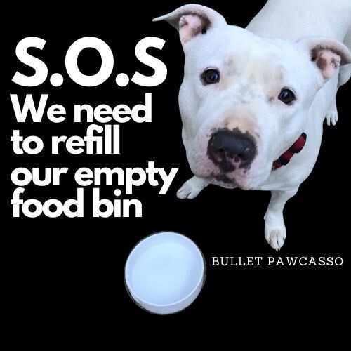 Donate for a Cause | Refill the Pawcasso Dog Rescue Food Pantry