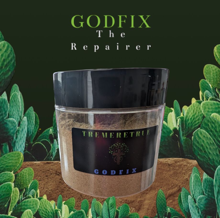 GODFIX