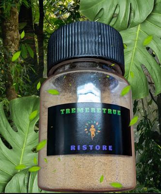 RISTORE