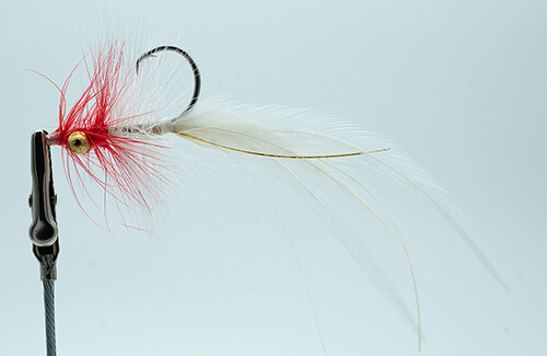 Red White Whistler Fly - Saltwater Trout Fly Red White Whistler Fly - Saltwater Trout Fly