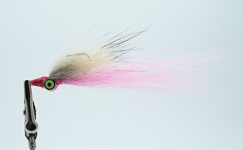 Pink Clouser Shrimp Fly Texas Saltwater Fly Pink Clouser Shrimp Fly Texas Saltwater Fly