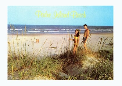 South Padre Island Vintage Post Card Padre Island Beach
