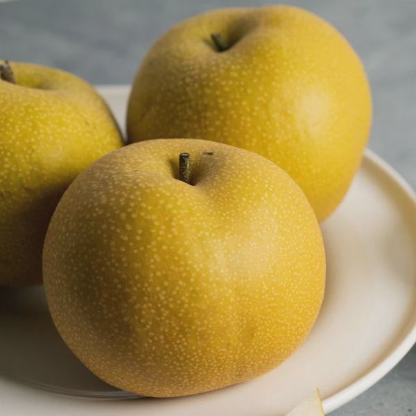 Depot Street Asian Pears
