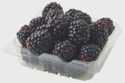 Organic Blackberries