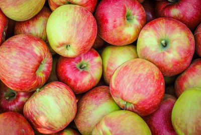 Organic Honeycrisp