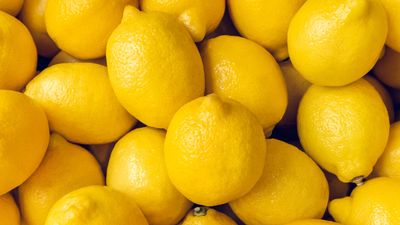 Organic Lemons
