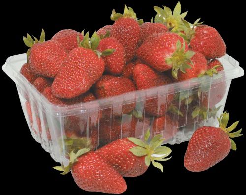 Organic Strawberries