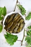 Frozen Vine Leaves with Vegetable (50 Pcs)