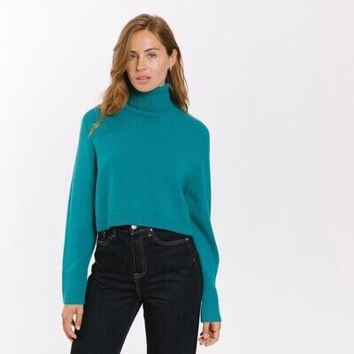 Pull Vert canard