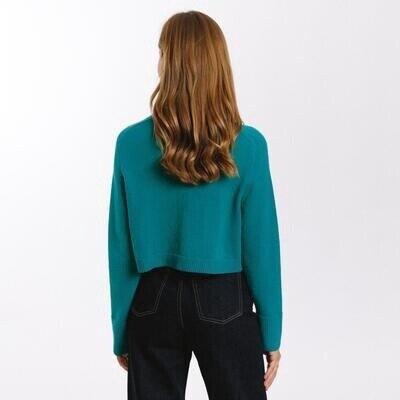 Pull Vert canard