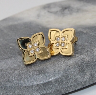 Boucles d&#39;oreilles en acier~