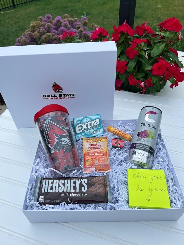 Back to School Bundle 2