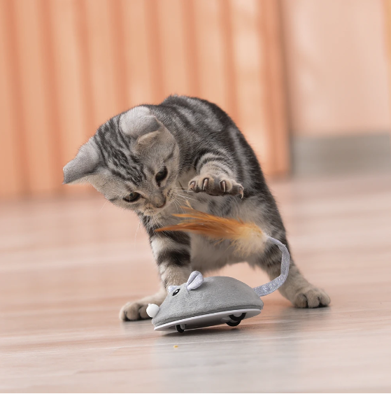 Interactive Cat Mouse Toy