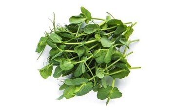 Pea Shoots