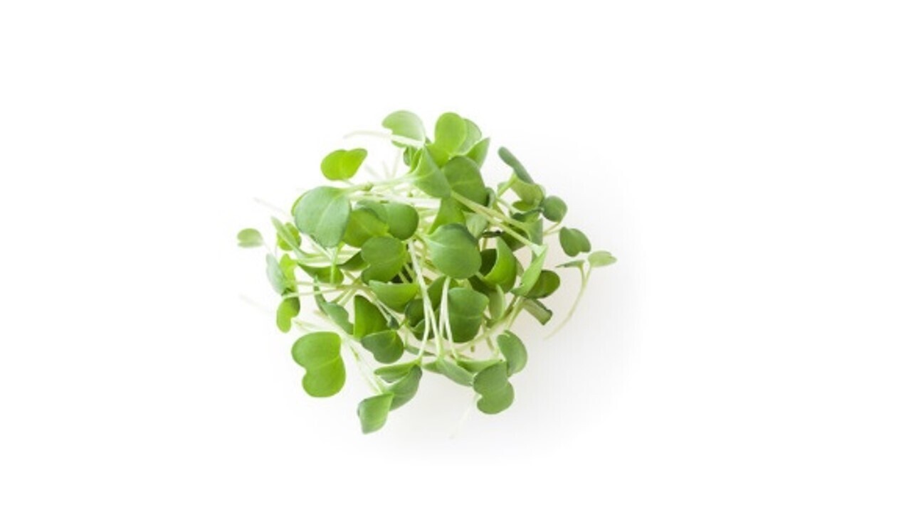 Rocket (Arugula)