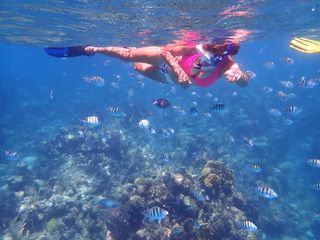 Snorkel, Sand & Sun I  =>>> Includes 1 Hour Snorkel Boat, Snorkel Gear, Beach Access, Lounge Chair, Pool, WiFi, Round Trip Transportation!