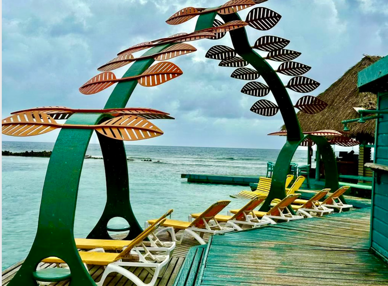 Island Escape =>>> Includes entry to private island, water shuttle, beach access, lounge chair, dive platform, animals, hammocks, cafe & bar with music!