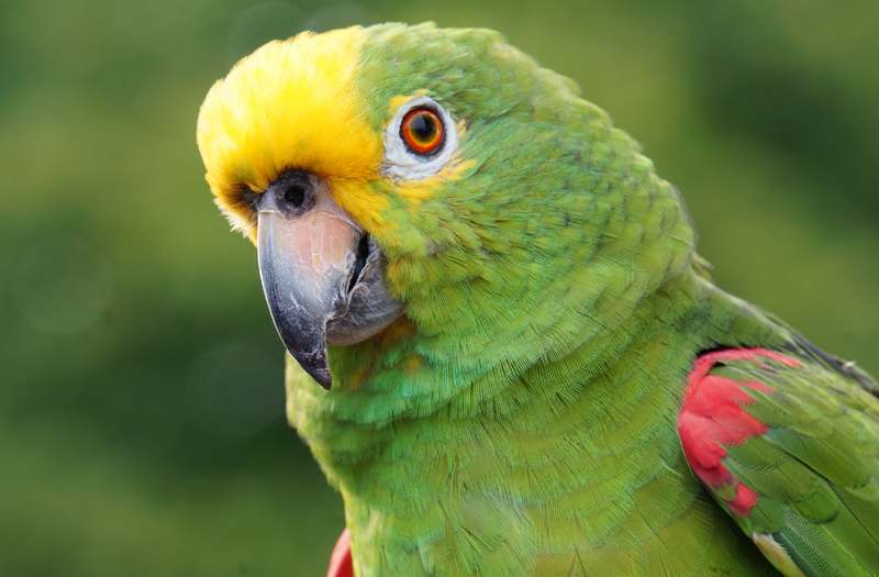 Eco Park Blast I =>>> Includes Eco Park Entry, Round Trip Transportation!