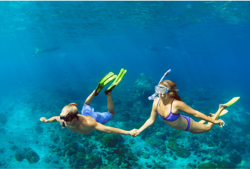 Snorkel, Sand & Sun I  =>>> Includes 1 Hour Snorkel Boat, Snorkel Gear, Beach Access, Lounge Chair, Pool, WiFi, Round Trip Transportation!