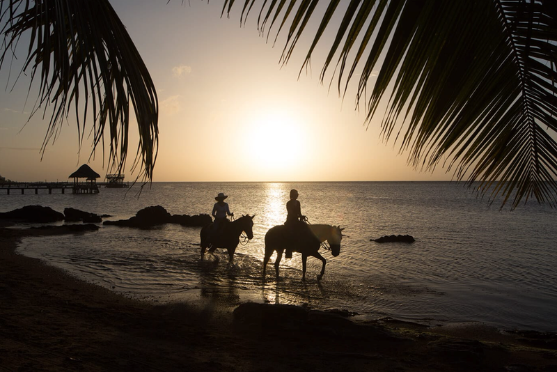Horsing Around I =>>> Includes Horseback Riding, Shopping, Lunch Reservation at Waterfront Restaurant (food & drink not included), Round Trip Transporation!