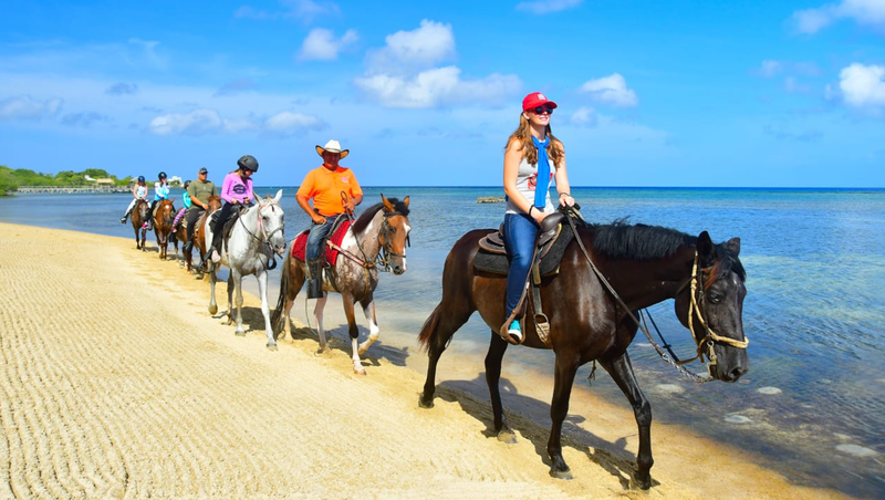 Horsing Around II =>>> Includes Horseback Riding, Beach Access, Lounge Chair, Pool, WiFi, Round Trip Transportation!