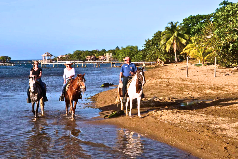 Horsing Around I =>>> Includes Horseback Riding, Shopping, Lunch Reservation at Waterfront Restaurant (food & drink not included), Round Trip Transporation!
