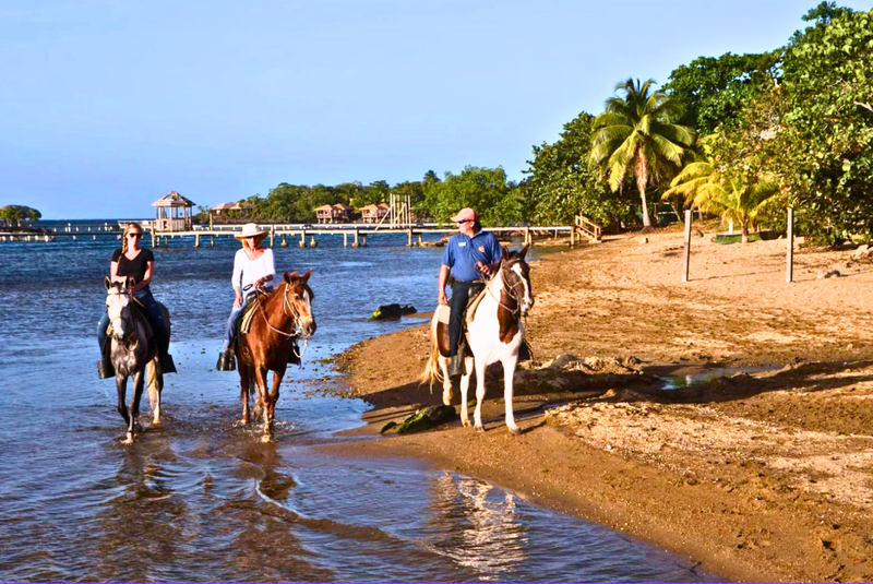 Horsing Around II =>>> Includes Horseback Riding, Beach Access, Lounge Chair, Pool, WiFi, Round Trip Transportation!