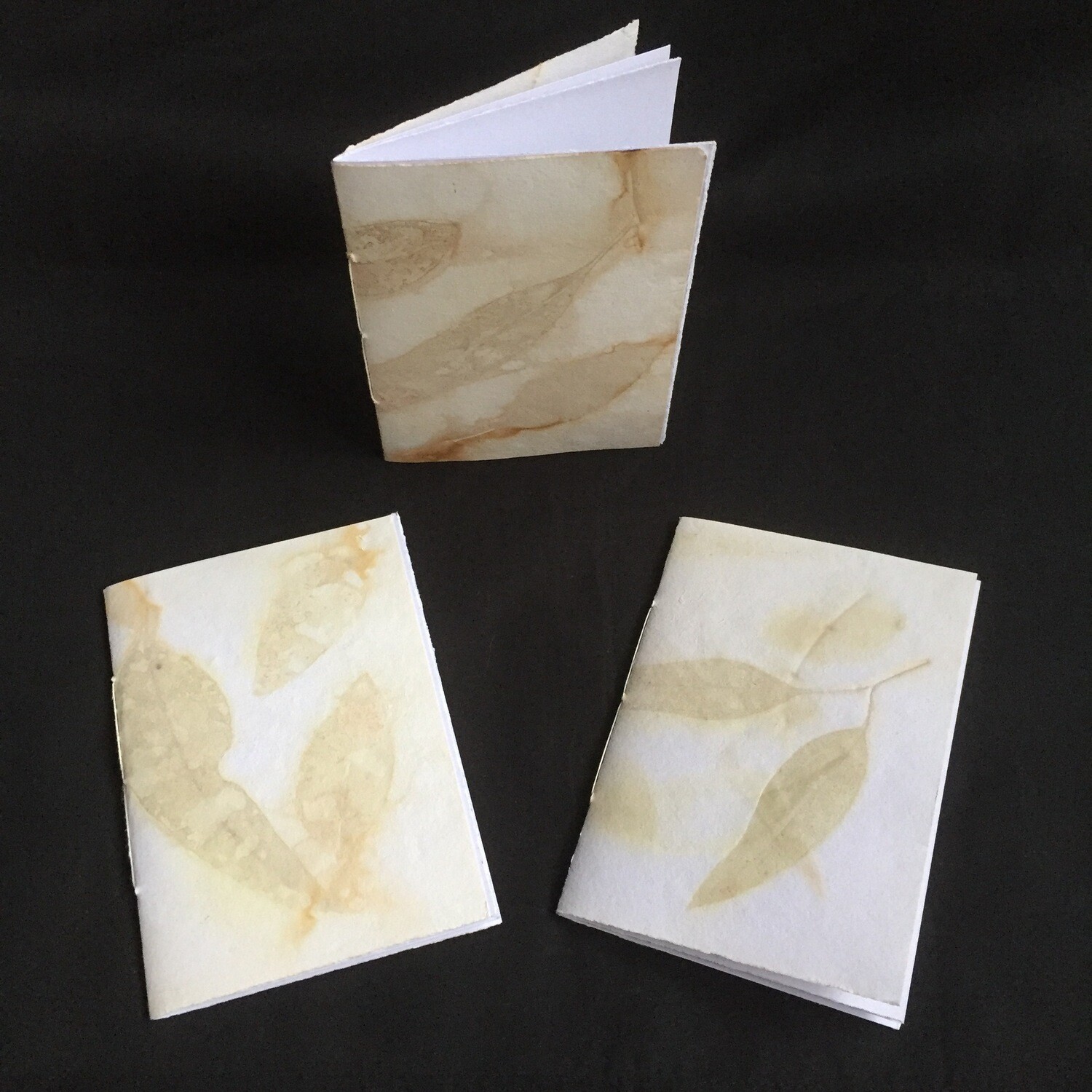 Still: Books by Indrani Perera - 2020 (First Edition)