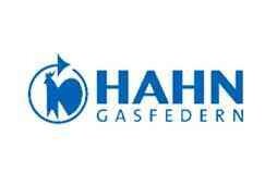 Gas spring Hahn