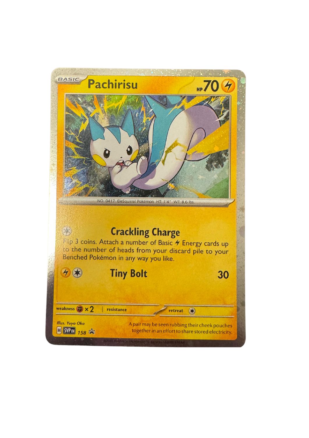 SVP158 Pachirisu
