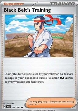 099 Black Belt&#39;s Training Reversed Holo