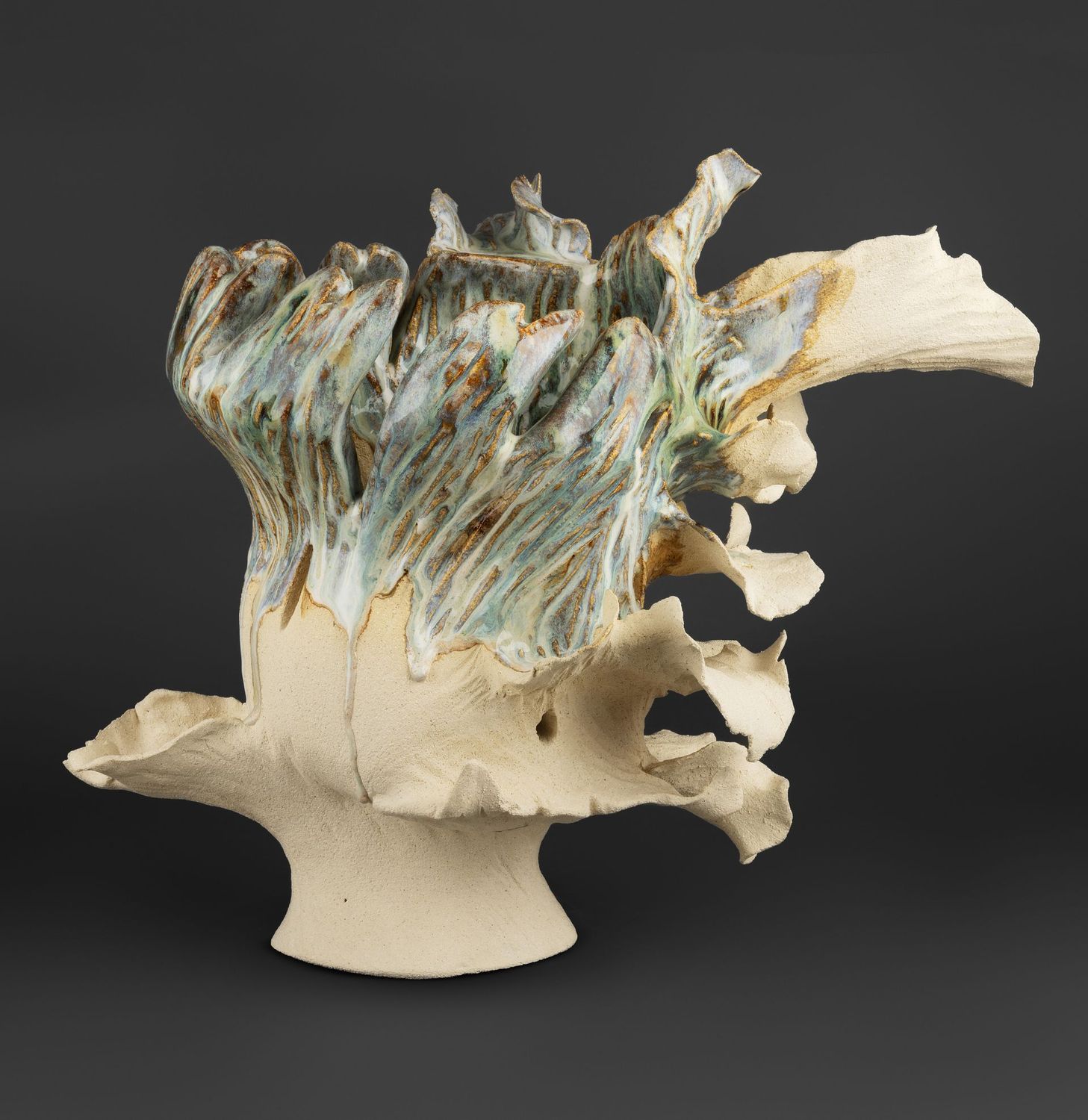 Where waves meet coral Where waves meet coral