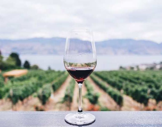 Rhone Valley Wine Tasting February 25, 2026