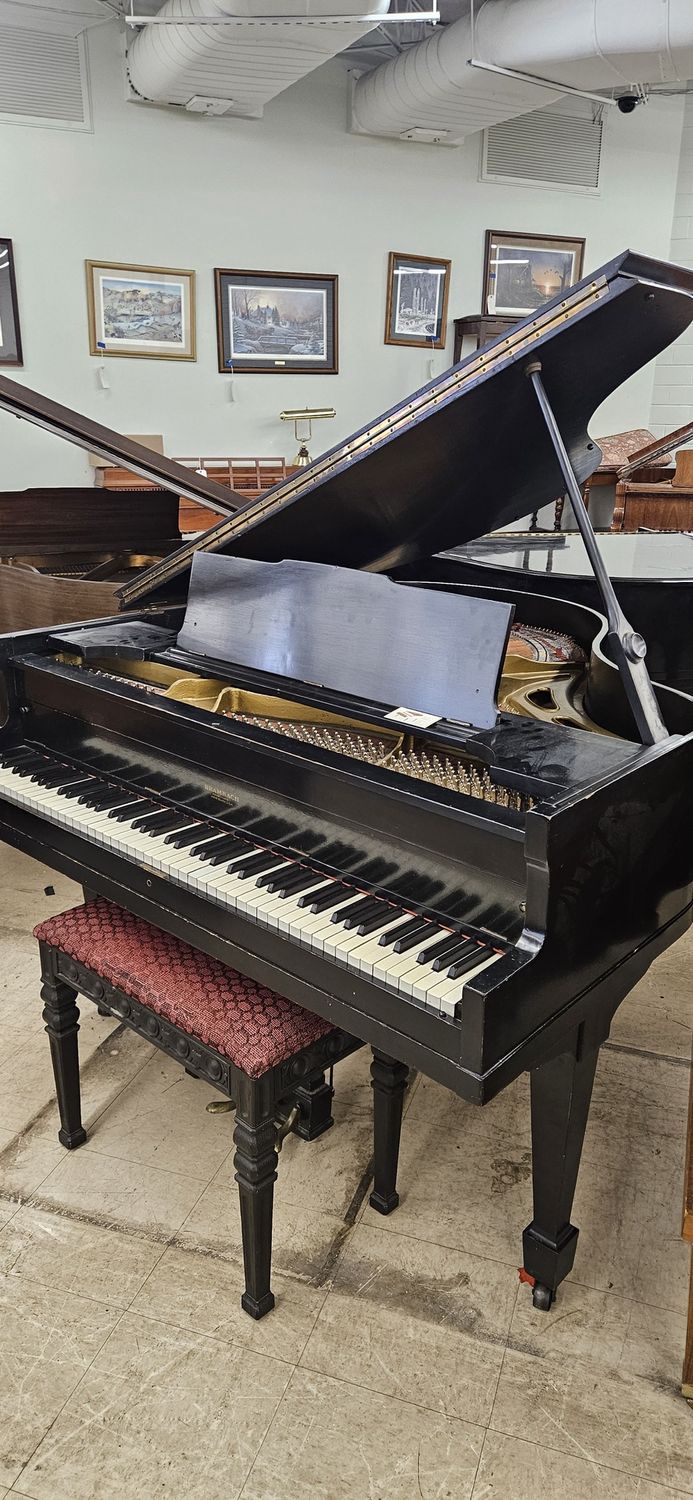 Ebony Brambauch Petite Baby Grand Piano *FREE DELIVERY
