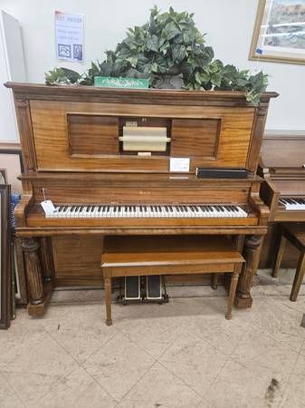 Player Piano Plus 300 plus scrolls