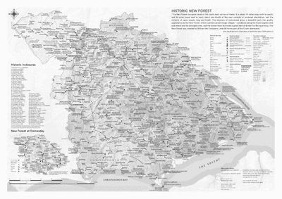 District-scale