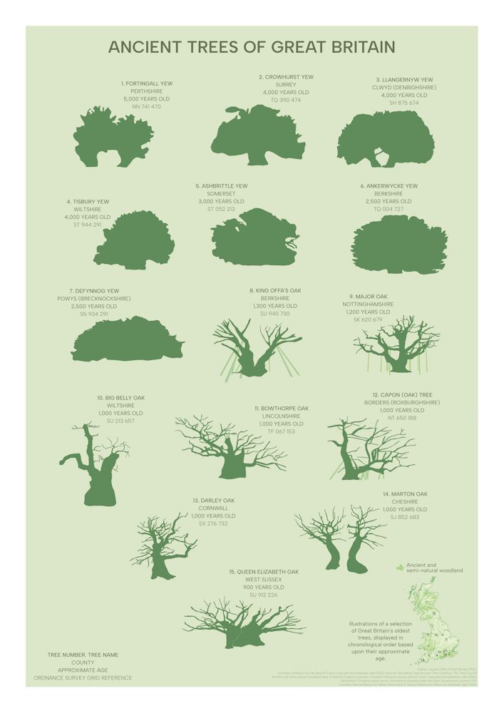 Ancient Trees of Great Britain